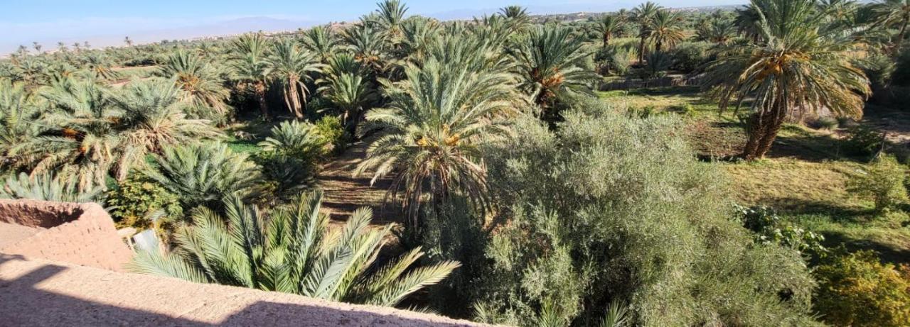 Cinema Riad Tajda エクステリア 写真
