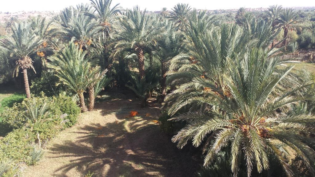 Cinema Riad Tajda エクステリア 写真
