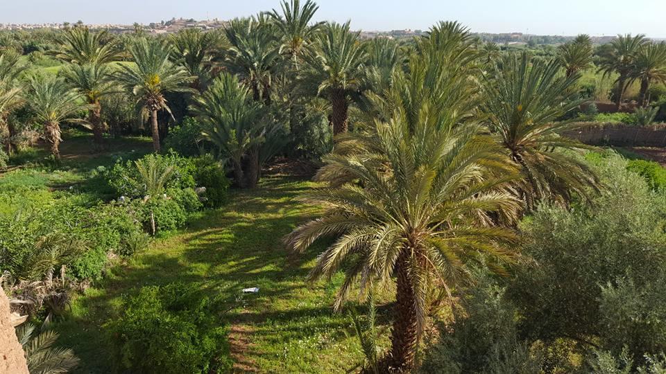 Cinema Riad Tajda エクステリア 写真